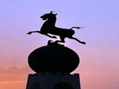 -苏泊罕大草原旅游景区