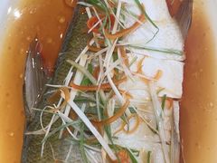 -沈家花园如皋菜(君御豪庭店)