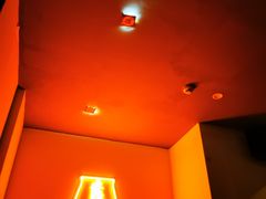 -虚荣精酿酒屋(五羊店)