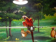 -绿色星球动物主题公园