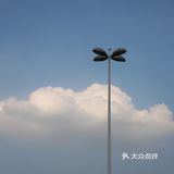 Cici的…使用指南？