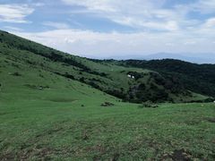 -大姆山草场
