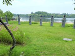 -杭州湾海上花田景区