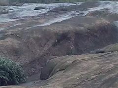 -大罗山风景区