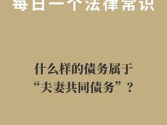 -上海领胜律师团队·法律咨询