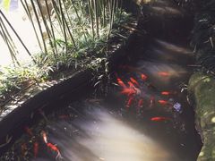 -竹吟山房