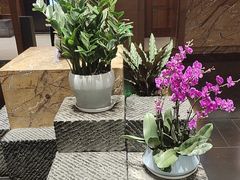 -黔蘑菇四季餐厅(观山湖店)