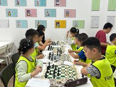 -常青藤国际象棋(新奥店)