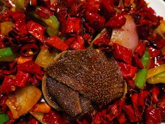 -福苗小骆驼烧烤(大唐不夜城店)