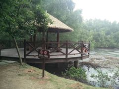 -大亚湾红树林城市湿地公园