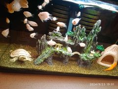 -金利茶餐厅(中船汇店)