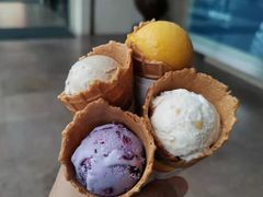 -哈根达斯(石家庄北国店)
