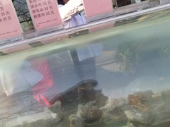 -晋阳饭庄(虎坊桥店)