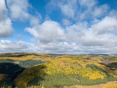 -塞罕坝国家级自然保护区