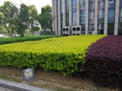 -无锡新湖铂尔曼大酒店