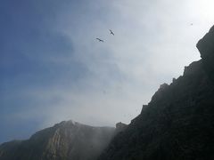 -长岛万鸟岛