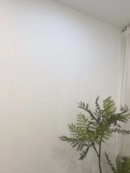 -张小野·专业半永久纹眉