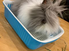 -藦茜花园宠物主题亲子互动体验馆(国顺东路店)