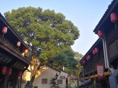 -柯岩风景区