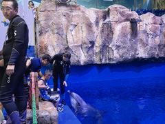 -华夏文旅海洋公园