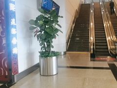 -厦门高崎国际机场-T3航站楼