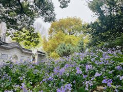 -泰州凤城河风景区-泰山公园