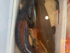 -江湖水乡铁锅炖魚(周庄嘉园店)