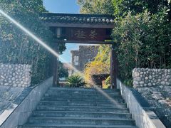 -一茶一饭
