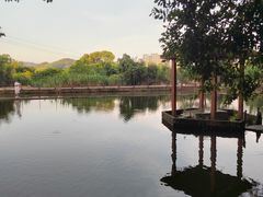 -水库河鲜村
