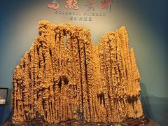 -贵州省地质博物馆