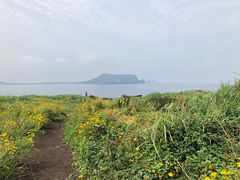 -涉地可支