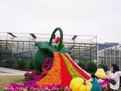-东南花都花博园