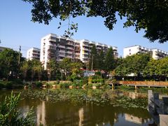 -光明港公园