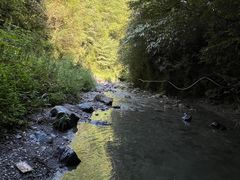 -青城山