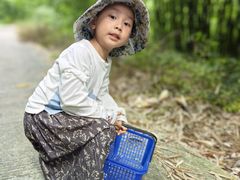 -芦沟竹海