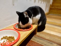 -猫的天空之城概念书店(杭州南宋御街店)