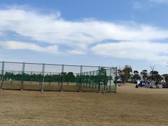 -春花秋色城市公园