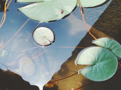 -黄公望隐居地