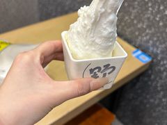 -野人先生现做冰淇淋(西安赛格店)