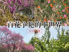 -白塘生态植物园
