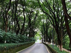 -上海市保健医疗中心(华东疗养院)
