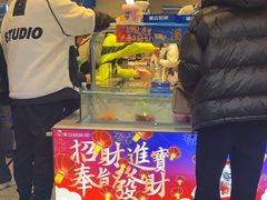 -溪边姑娘·拉丝酸奶水果捞(春熙路店)