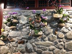 -吴财记面家(大同路店)