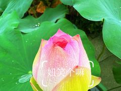 -云溪植物园