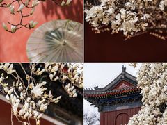 -北京艺术博物馆(万寿寺)