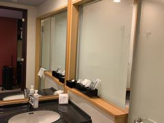 卫生间-JR东日本大都会大饭店东京城