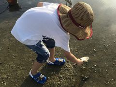 -北海金海湾红树林生态旅游区