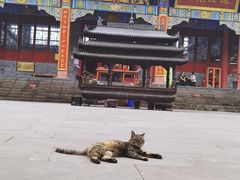 -老君山