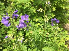 -白草畔自然风景区