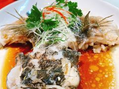 -九朝会昆曲·宴(望京店)